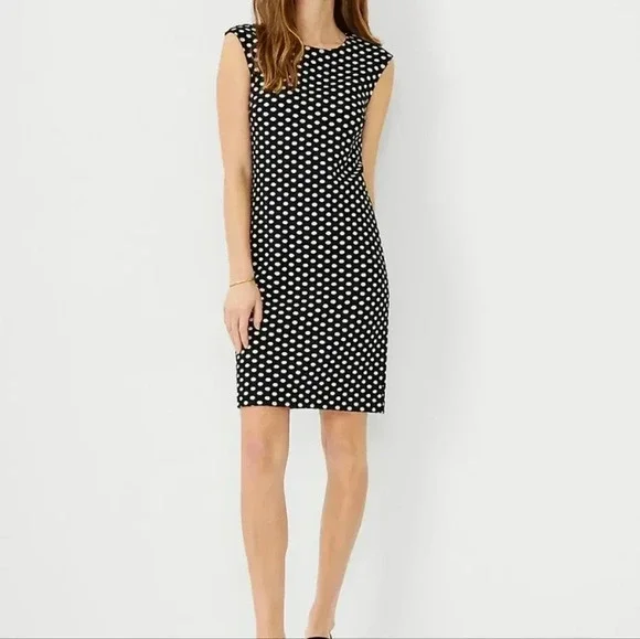 Ann Taylor Polka Dot Shift Dress Size 4P - Picture 1 of 6